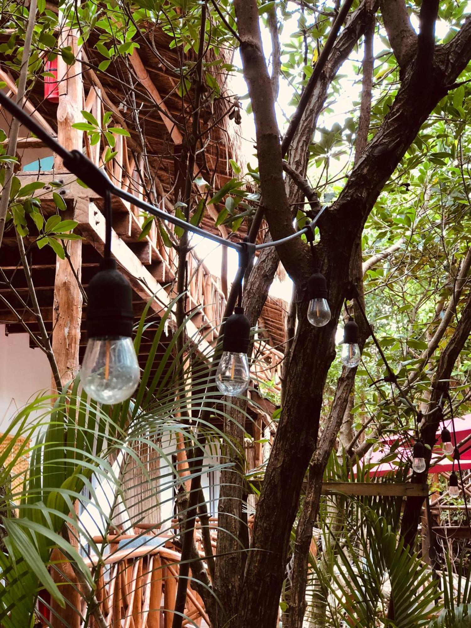 Cabanas Tulum - Aldea Mangle & Cenote Exteriör bild