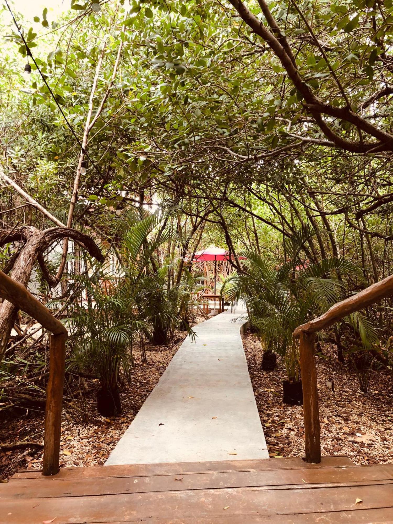 Cabanas Tulum - Aldea Mangle & Cenote Exteriör bild