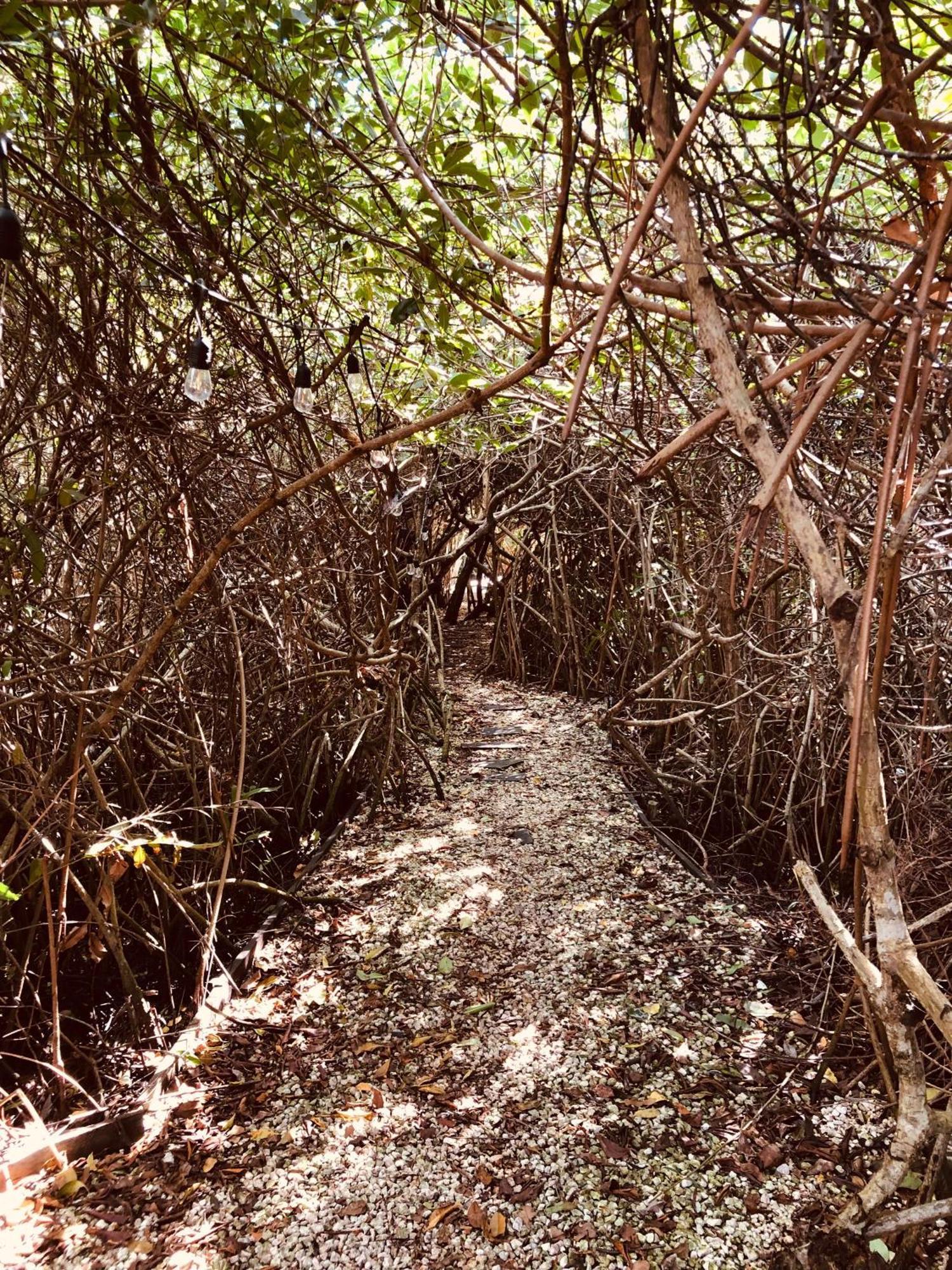 Cabanas Tulum - Aldea Mangle & Cenote Exteriör bild