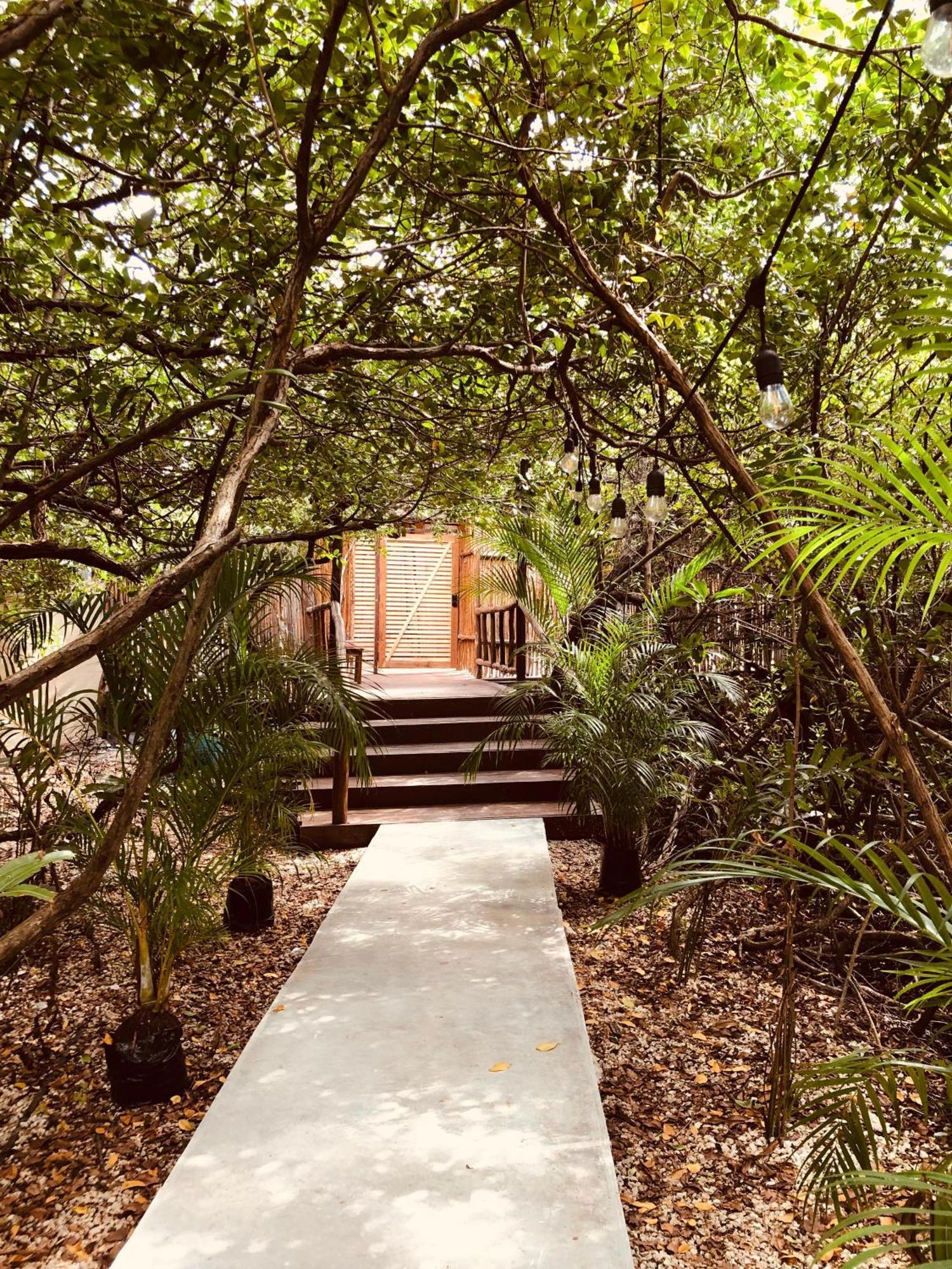 Cabanas Tulum - Aldea Mangle & Cenote Exteriör bild