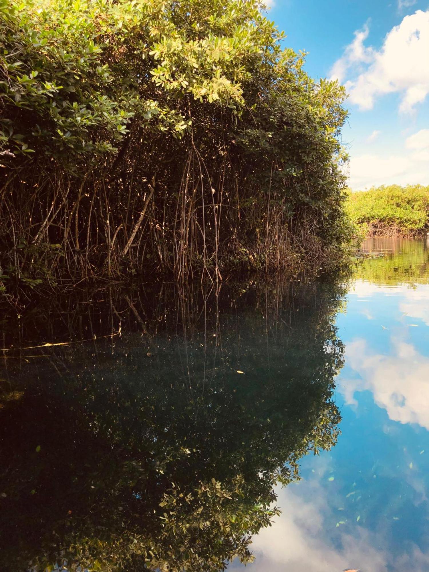 Cabanas Tulum - Aldea Mangle & Cenote Exteriör bild