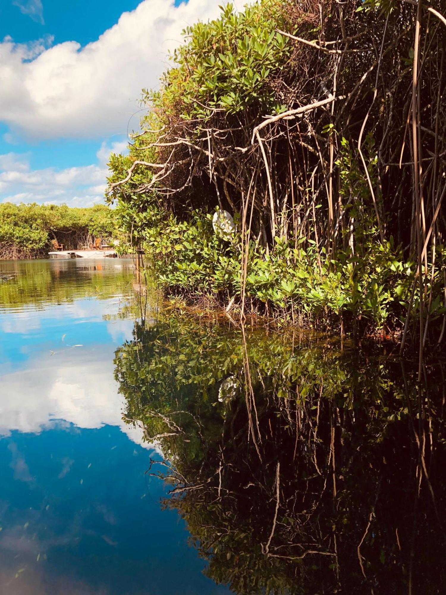 Cabanas Tulum - Aldea Mangle & Cenote Exteriör bild