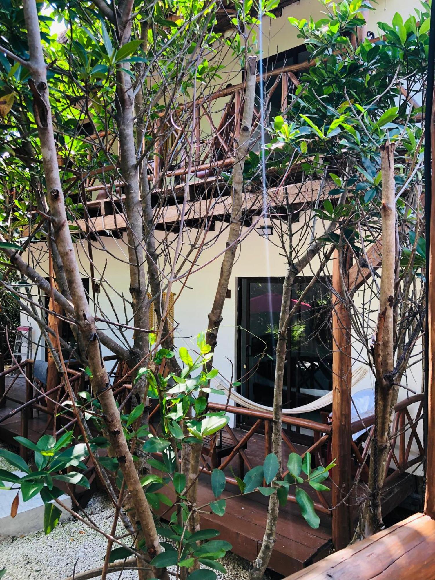 Cabanas Tulum - Aldea Mangle & Cenote Exteriör bild