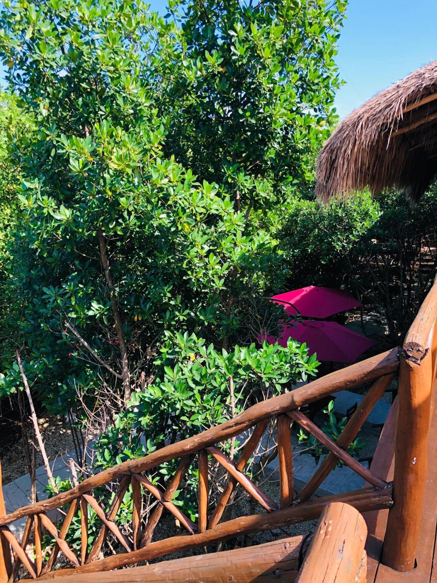 Cabanas Tulum - Aldea Mangle & Cenote Exteriör bild