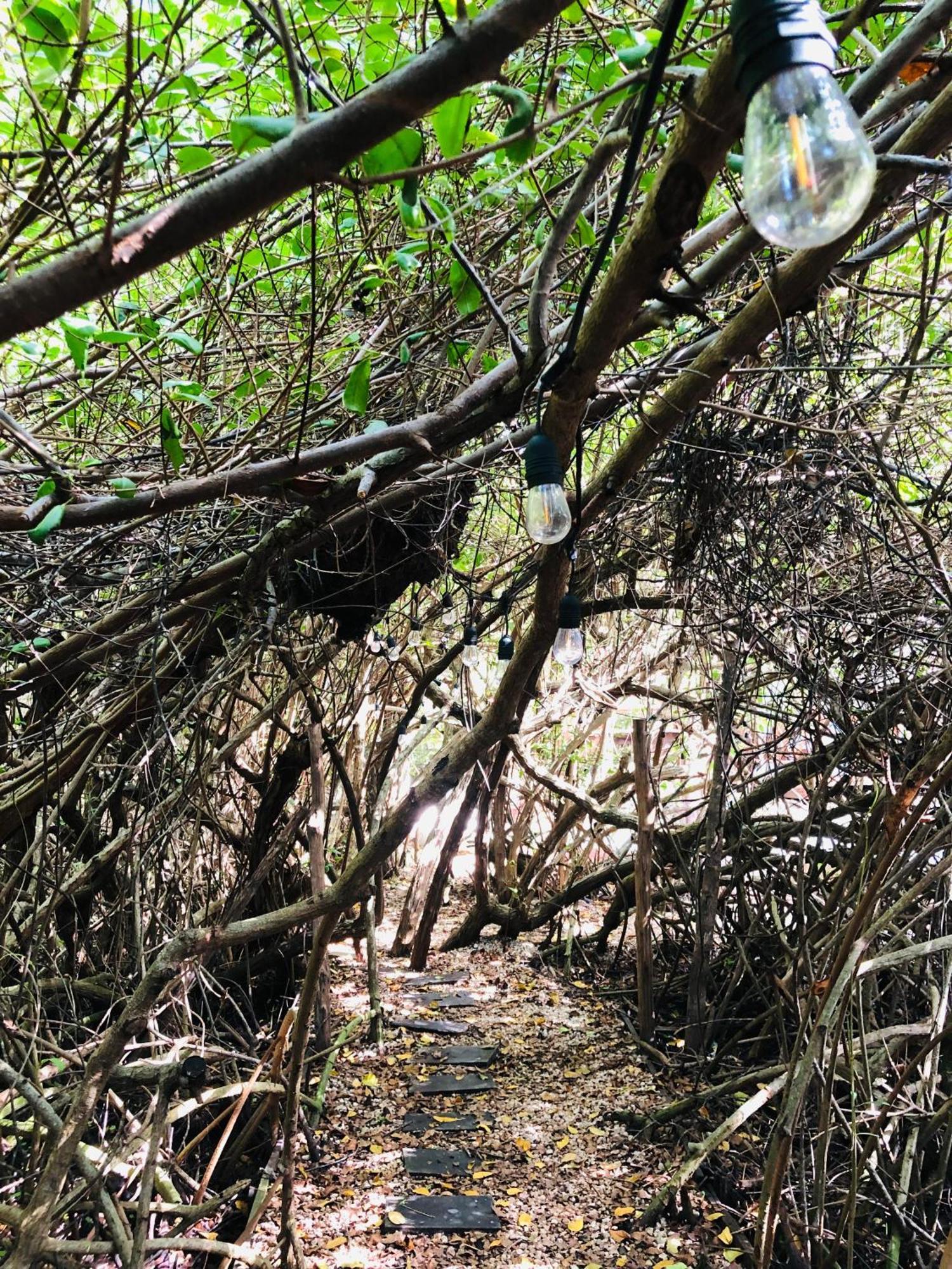 Cabanas Tulum - Aldea Mangle & Cenote Exteriör bild